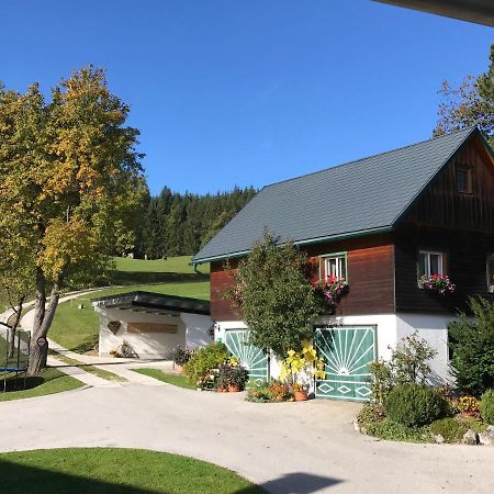 Ferienhaus Zwickelreith Göstling an der Ybbs Zewnętrze zdjęcie