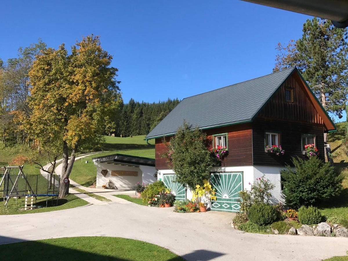 Ferienhaus Zwickelreith Göstling an der Ybbs Zewnętrze zdjęcie