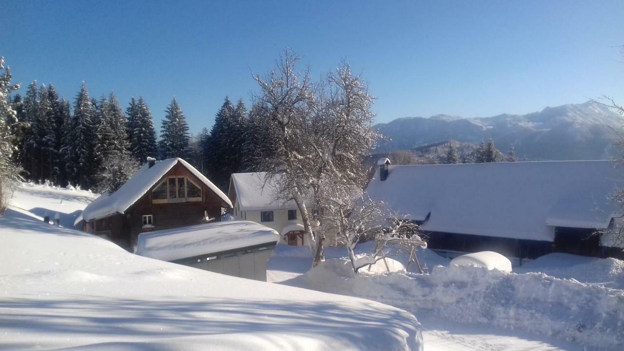 Ferienhaus Zwickelreith Göstling an der Ybbs Zewnętrze zdjęcie